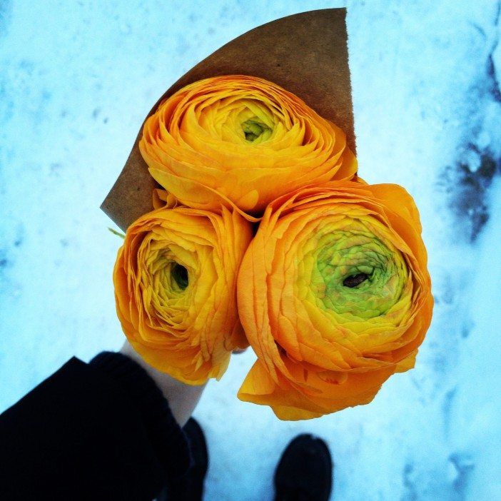 bouquet of flowers