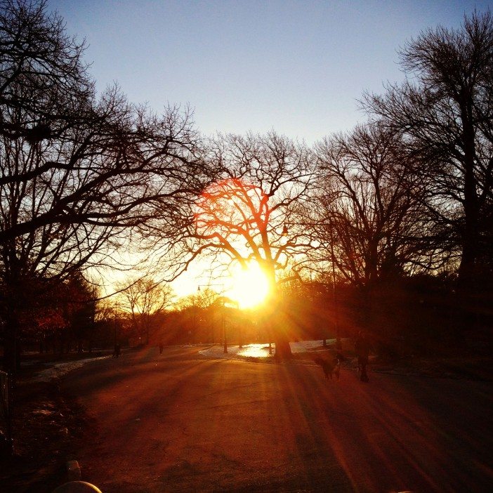 prospect park winter sunrise