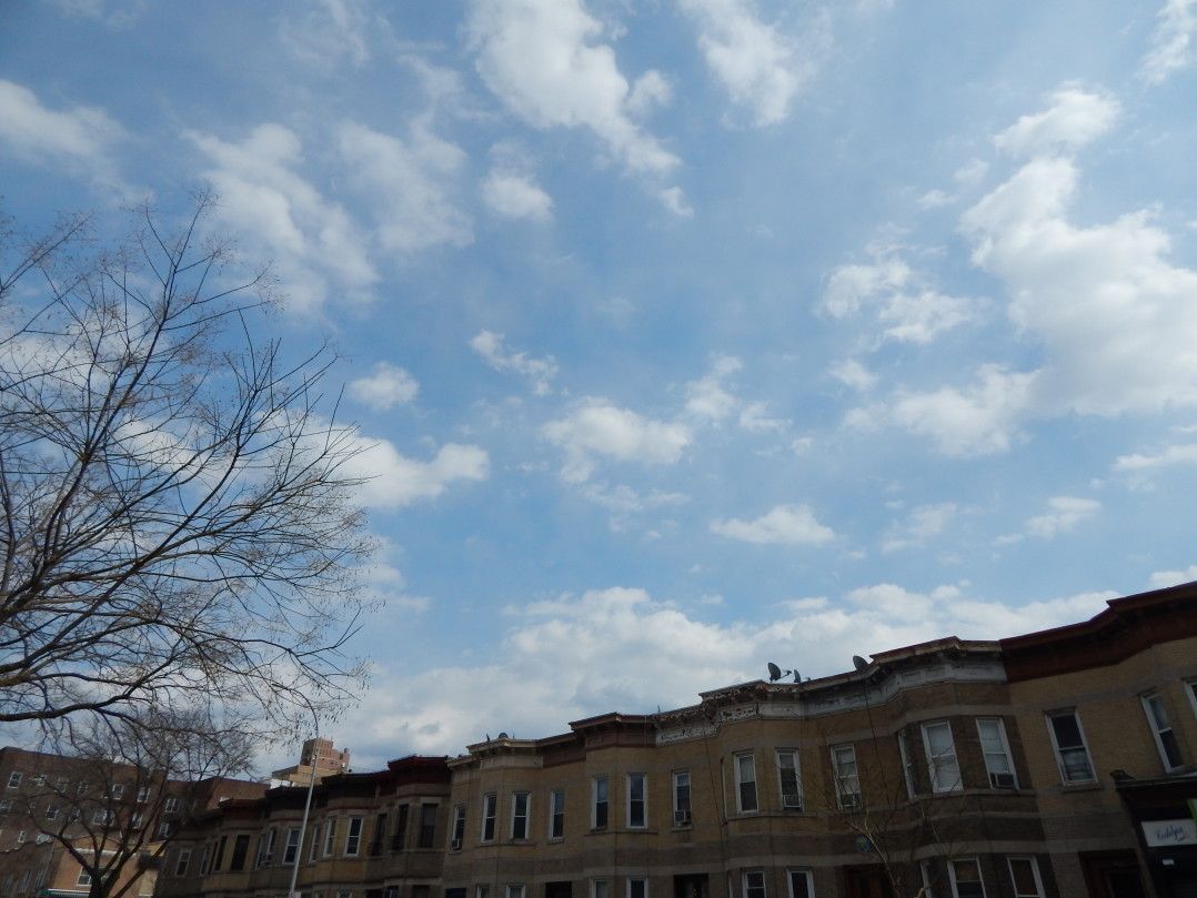 Cortelyou Road houses apartments