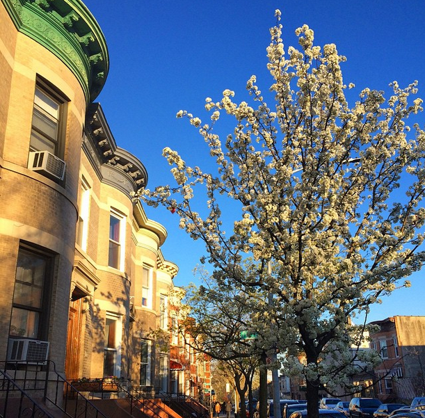 houses apartments spring