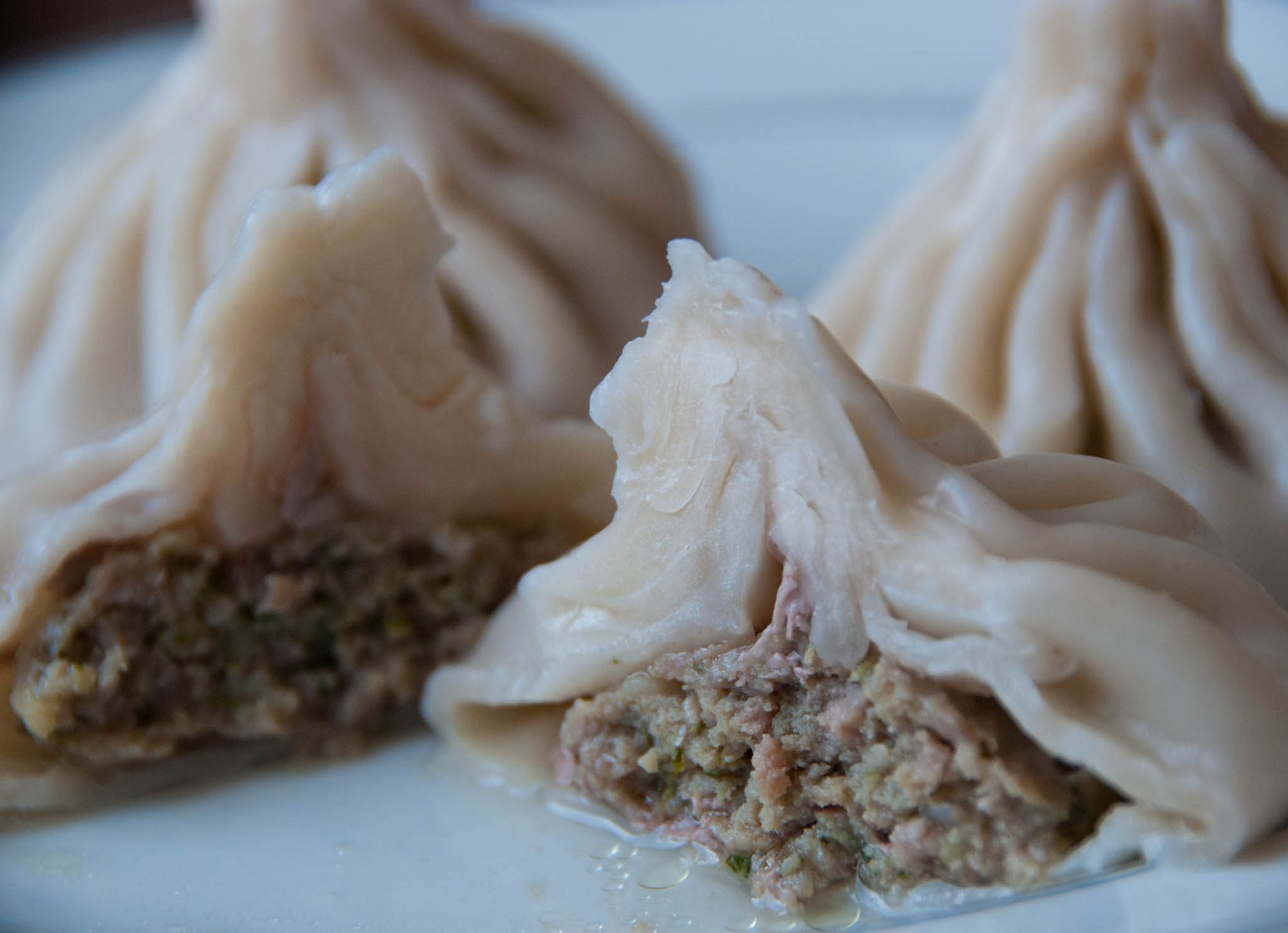 Sheepshead Bay Honored For Having Some Of NYC’s Best Dumplings