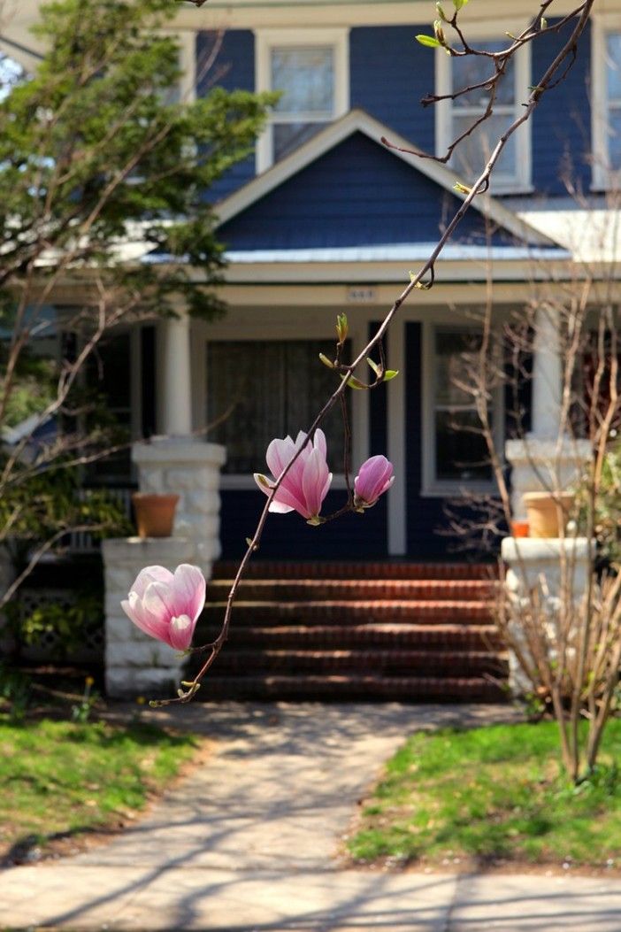 house spring flowers porch