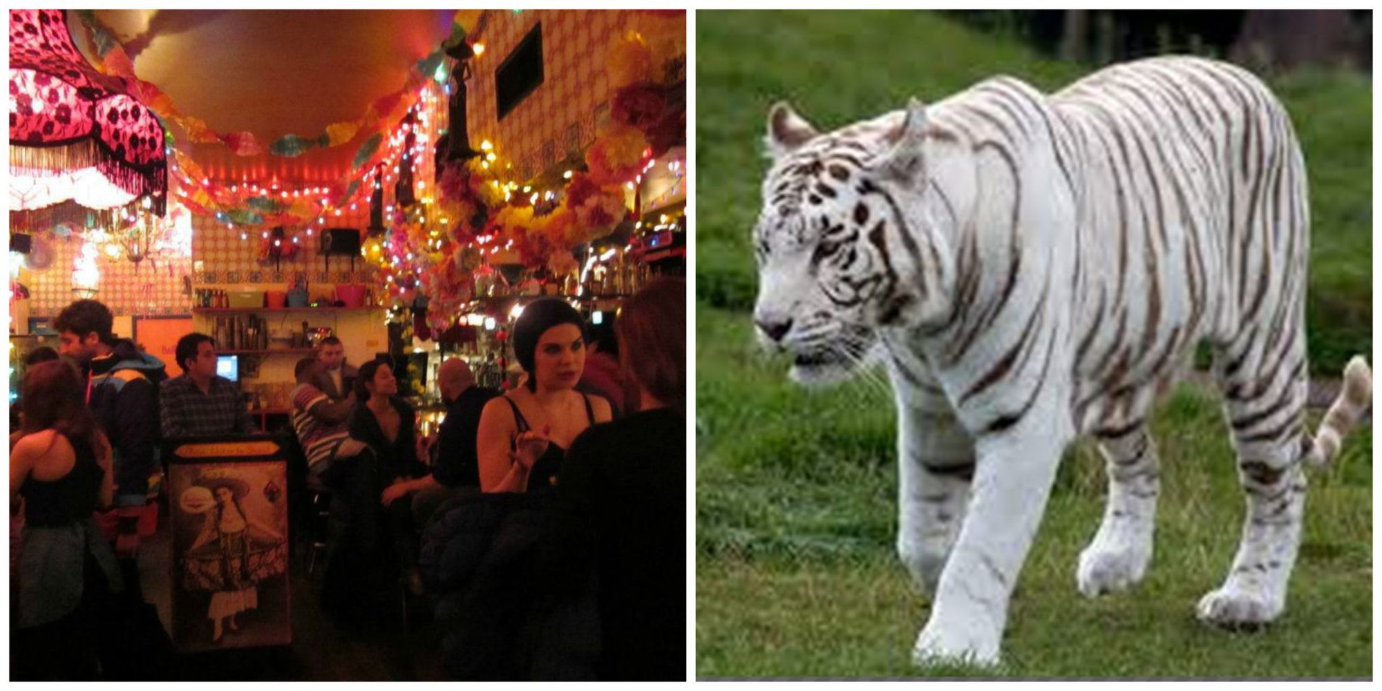 New Restaurant, White Tiger, To Bring Korean “With A Twist” To Former Pequeña Space