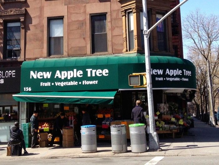 new apple tree on 7th avenue in park slope