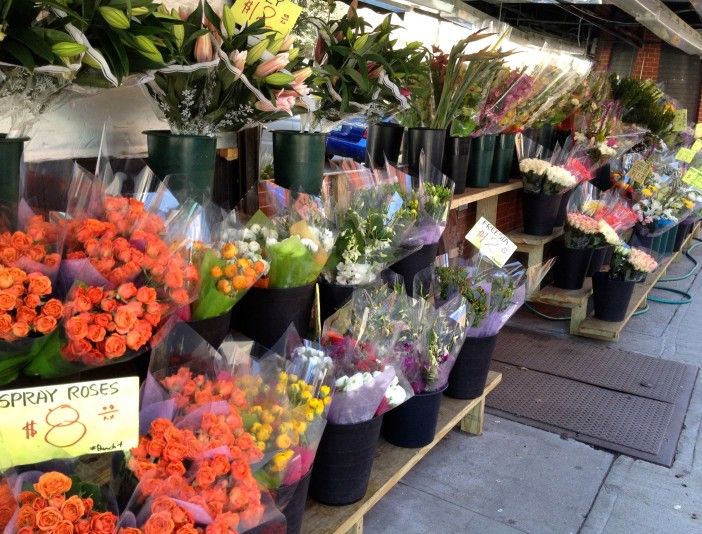 flowers for sale at park slope's new apple tree