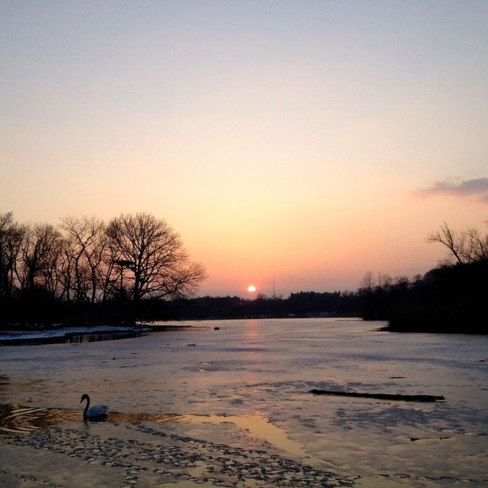 sunset at the lake in prospect park