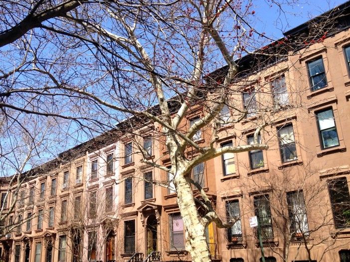 brownstones in Park Slope, Brooklyn