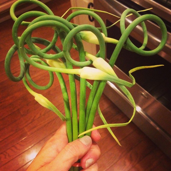  Garlic scapes from last year's Ditmas Park CSA. Photo courtesy Orli LeWinter