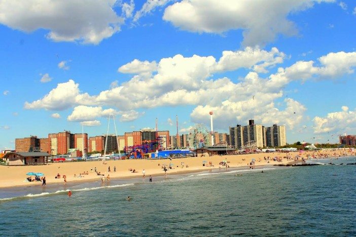 Photo by Elise Laura Feinstein