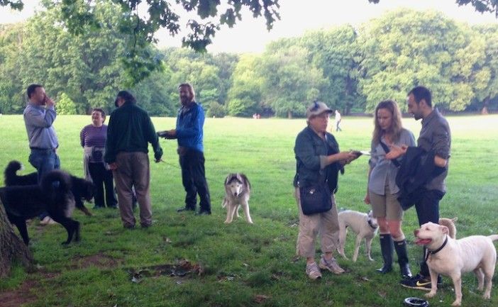 fido pupnic in prospect park