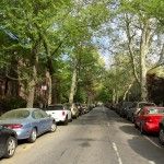 pollen-covered cars in park slope