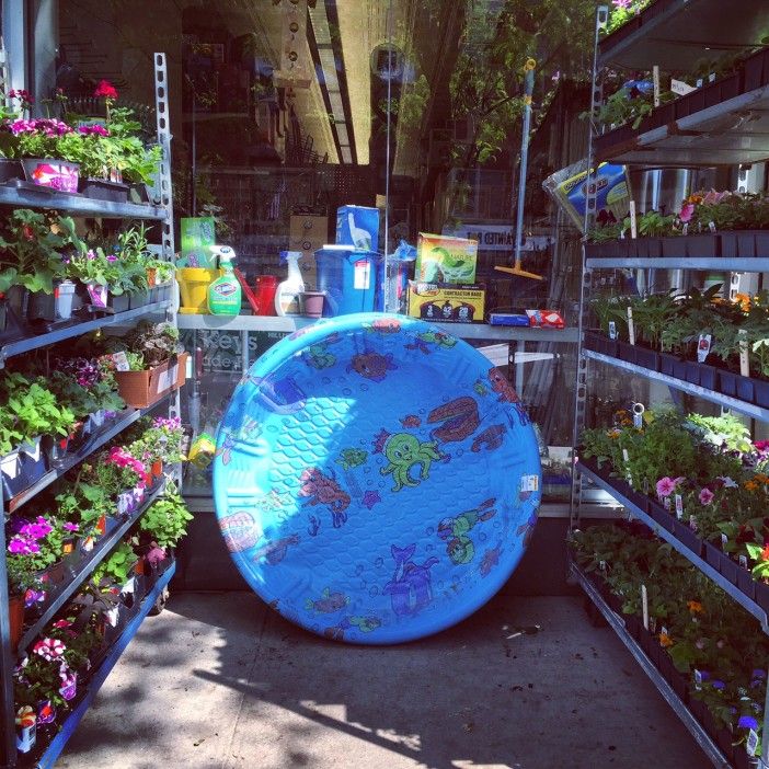 kiddie pool at tarzian in park slope