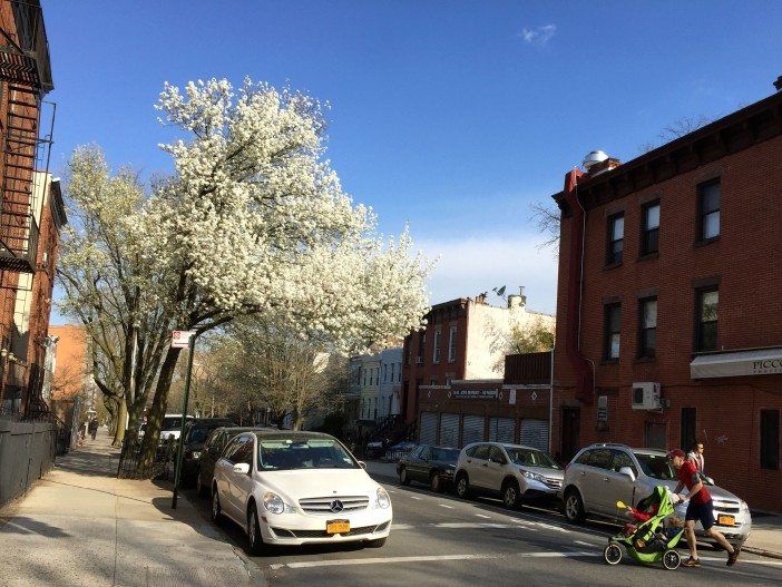 dad pushing child in a stroller on 6th avenue in south slope