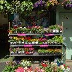 flowers for sale on 5th avenue in south slope