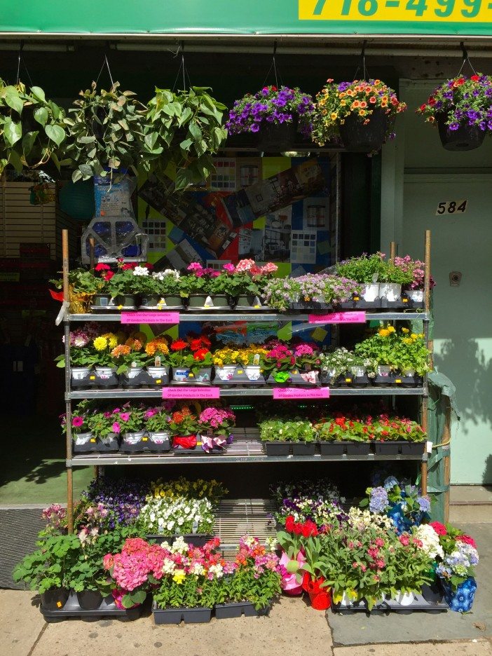 flowers for sale on 5th avenue in south slope