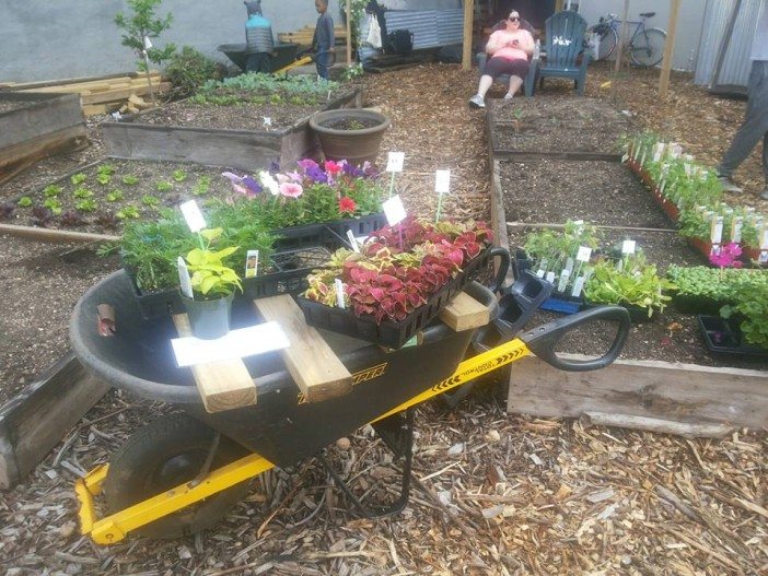 Photo via Vinegar Hill Community Garden.