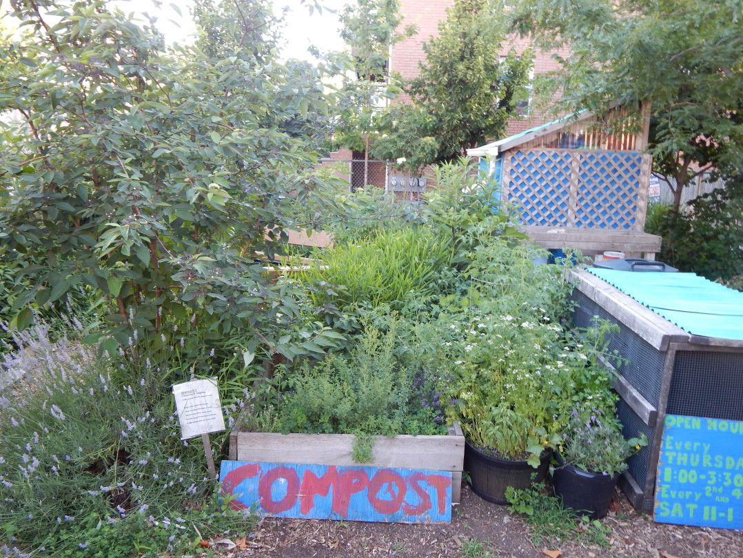 Compost for Brooklyn garden