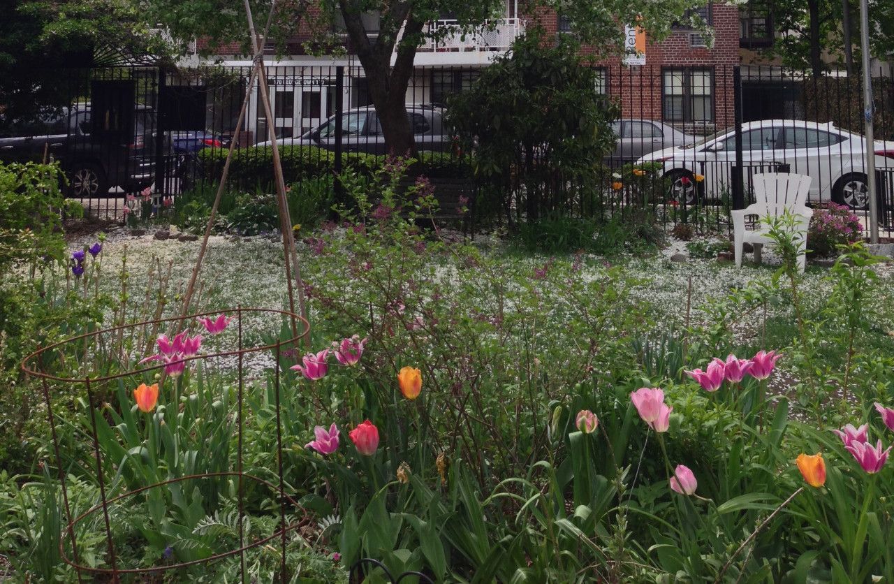 The E. 4th Street Community Garden