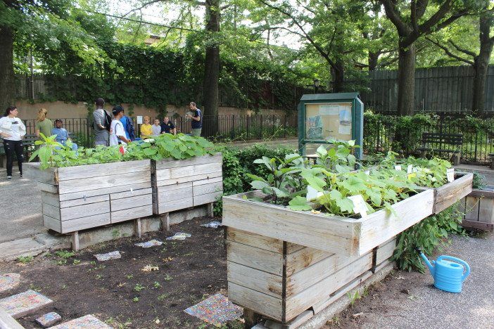 The student garden in the Butterfly Garden.