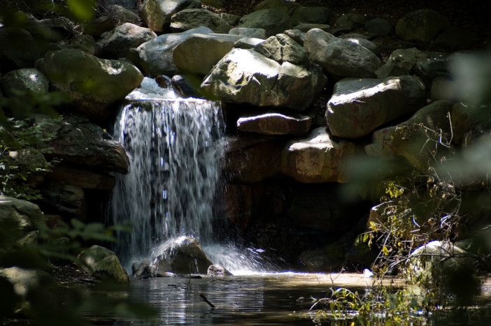 You can take a waterfall hike in Prospect Park this Saturday, June 20. Photo via Andrew Gwozdziewycz