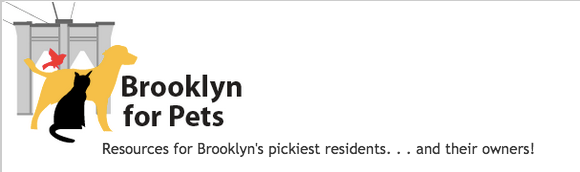 brooklyn for pets banner