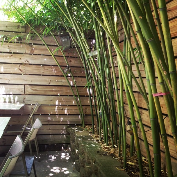 The bamboo garden at Jpan. Photo by le_tek