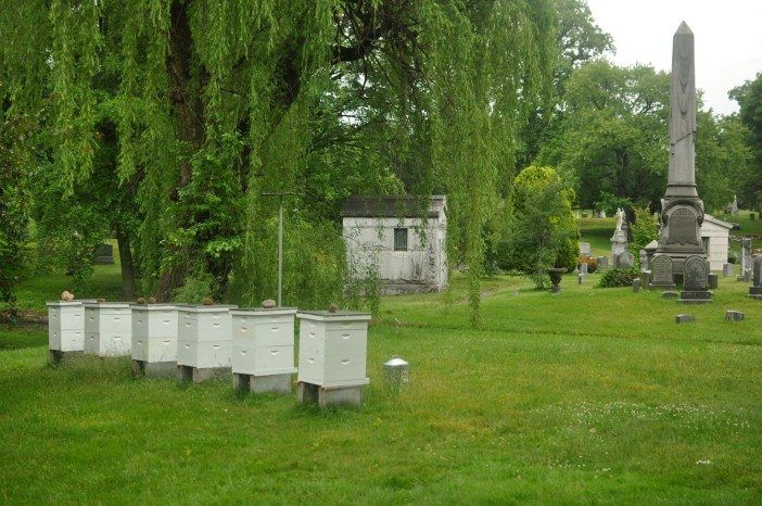 beehives at green-wood cemetery