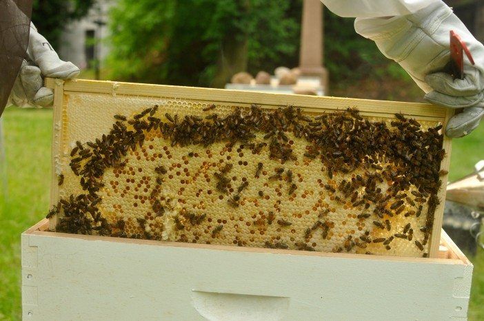 beehive at green-wood cemetery