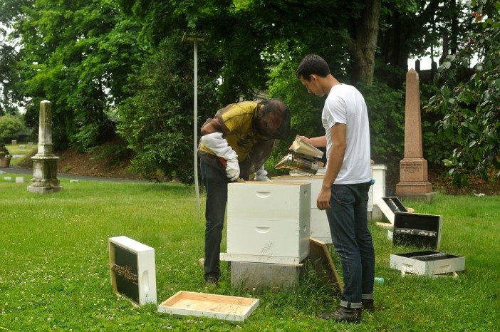 Larson and friend and fellow beekeeper Leo Stevenson inspect the hives.