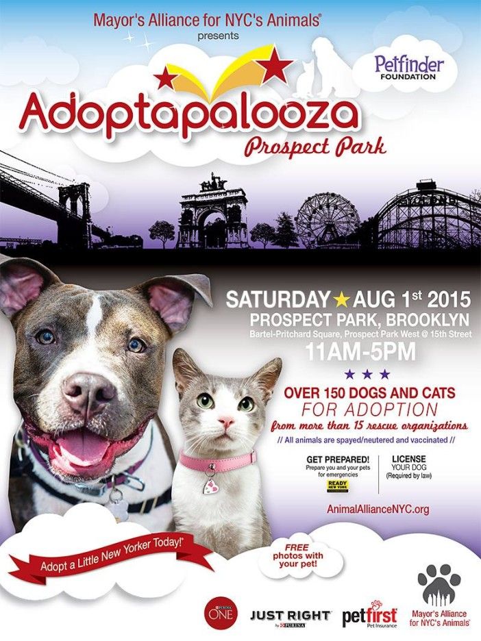 Add A Furry Member To Your Family At Prospect Park’s Adoptapalooza This Saturday, August 1