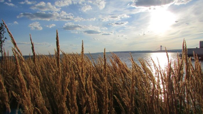 gravesend bay by den schwartz