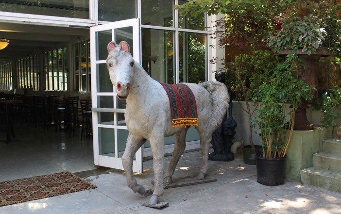 prospect hall horse