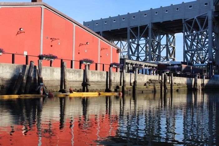 reflection on the gowanus canal