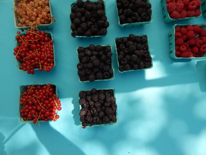 Berries! Photo by Ditmas Park Corner