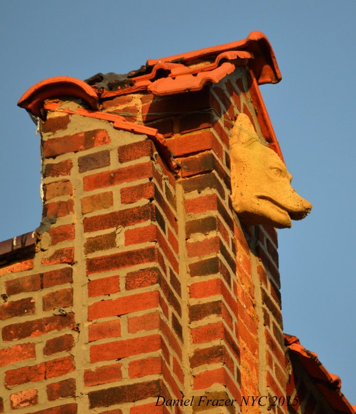 Dog gargoyle on a building on 24th Avenue. (Photo by Daniel Frazer)