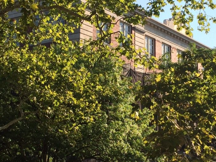 scaffolding coming down at P.S. 139 (Photo by Ditmas Park Corner)