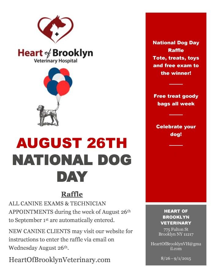 heart of brooklyn veterinary - national dog day