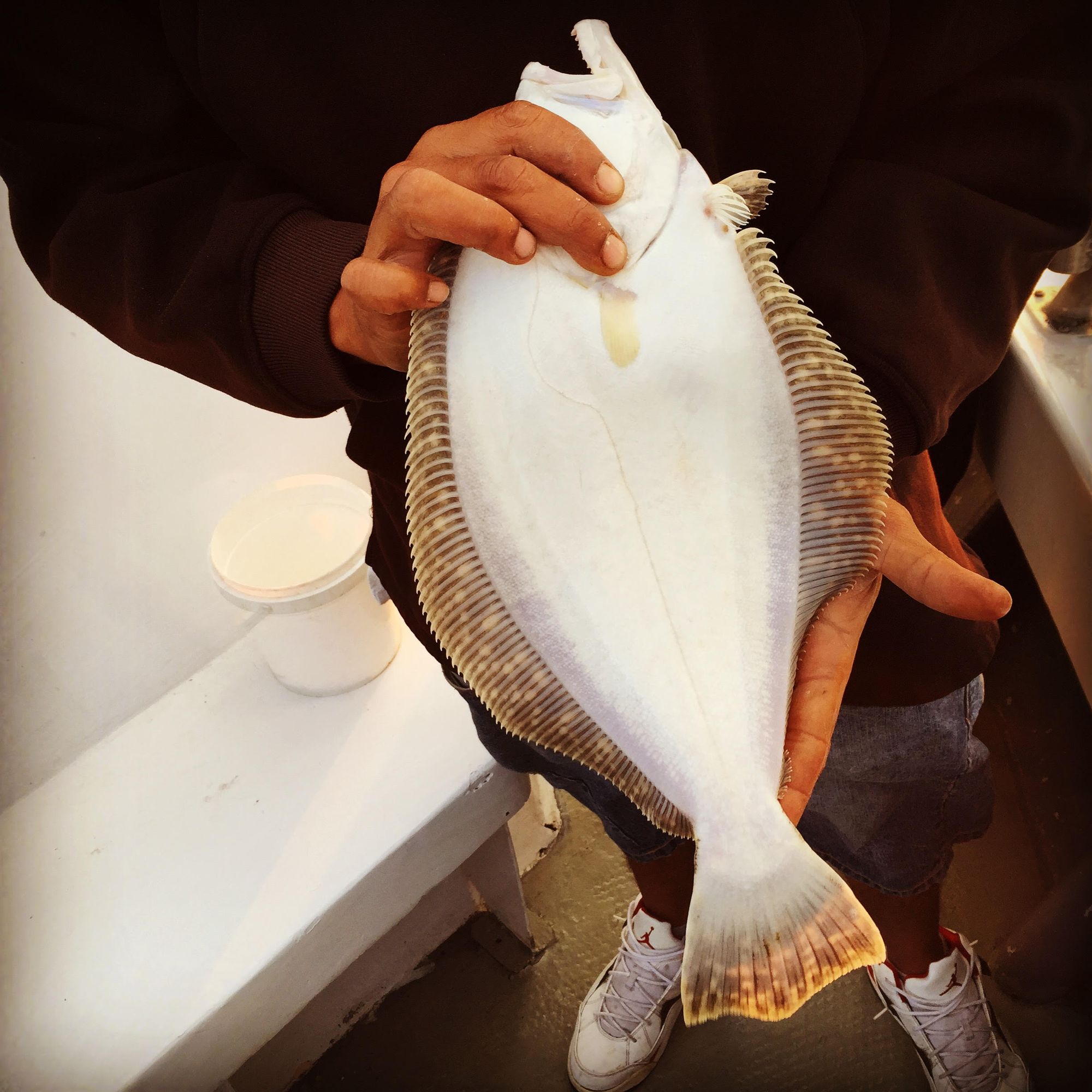 A fluke caught in Jamaica Bay.