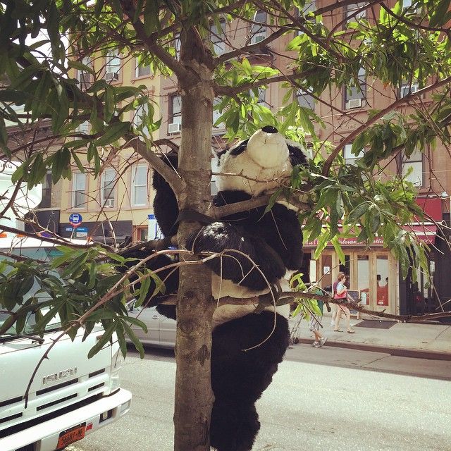 Photo by Park Slope Stoop