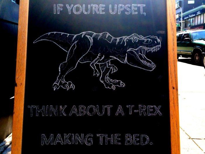 Dinosaur wisdom