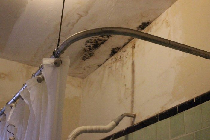 One tenant's bathroom is covered in black mold, which came back after the landlord painted over it. (Photo by Shannon Geis/Ditmas Park Corner)