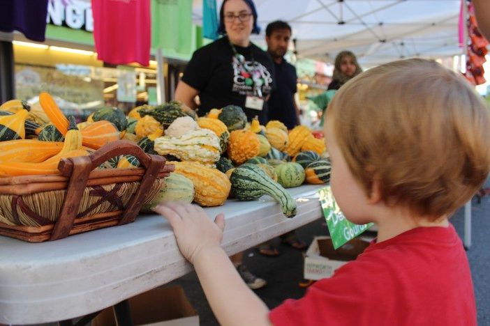 gourds