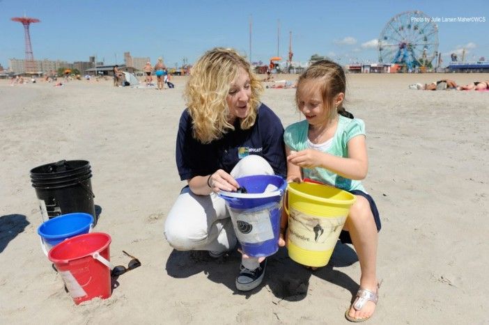 Things For Kids To Do In Southern Brooklyn: Painting Classes, Zumba, Coastal Cleanup