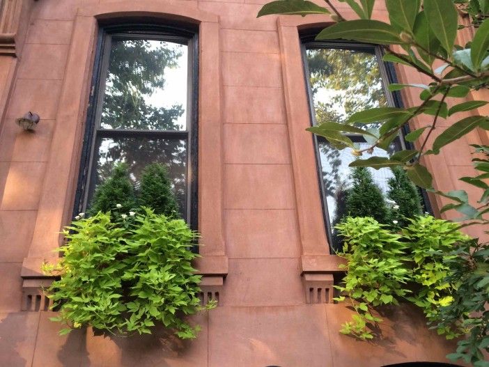 Bergen Street planters