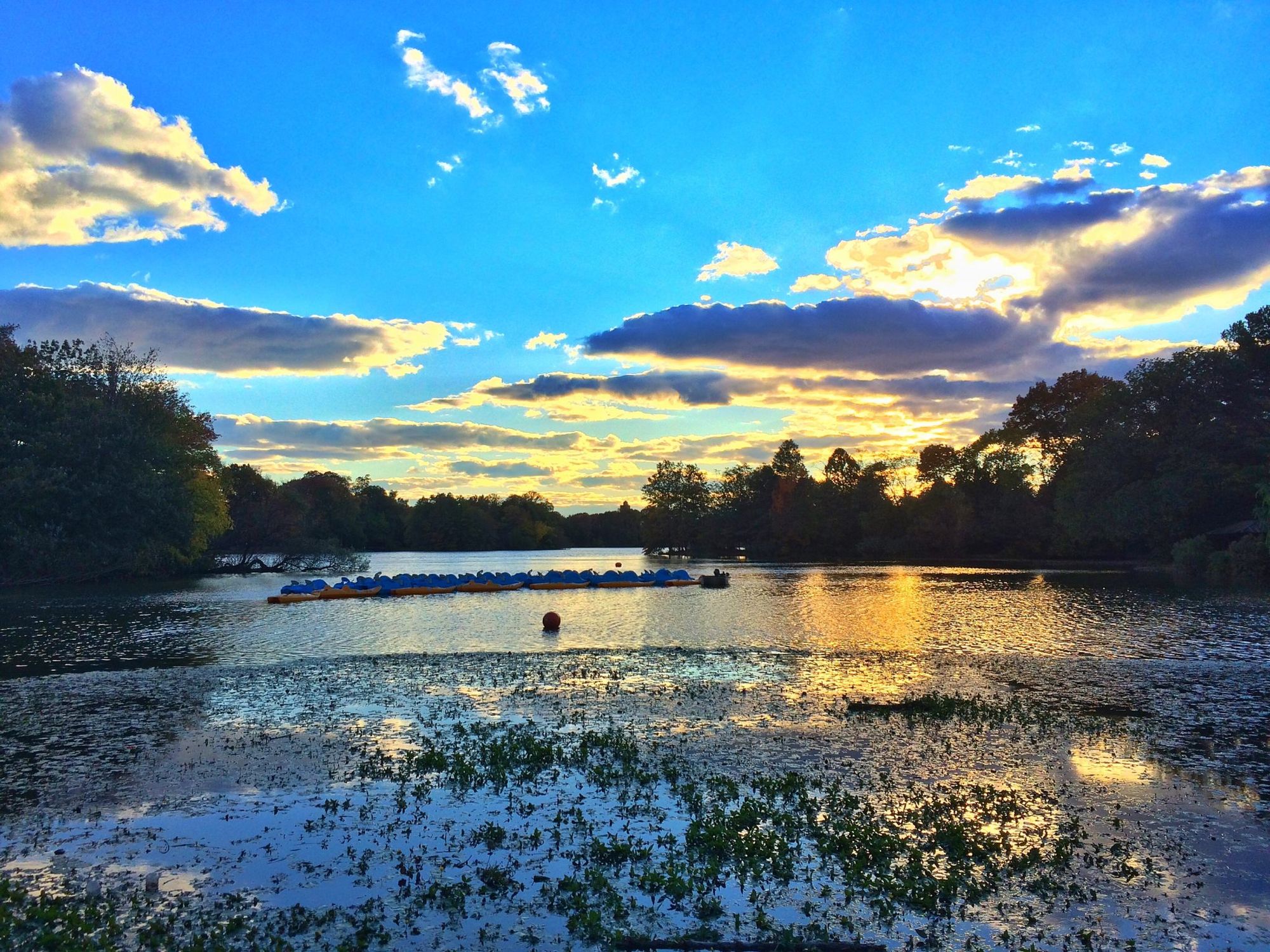 Photo Of The Day: Lakeside