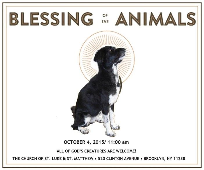 blessing of the animals at st luke