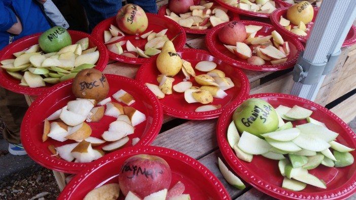 Apple samples fort Greene farmers market greenmarket