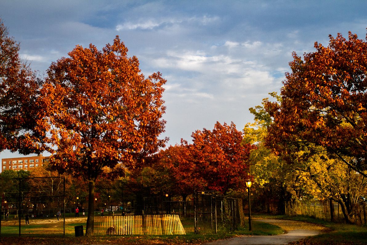 bensonhurst park