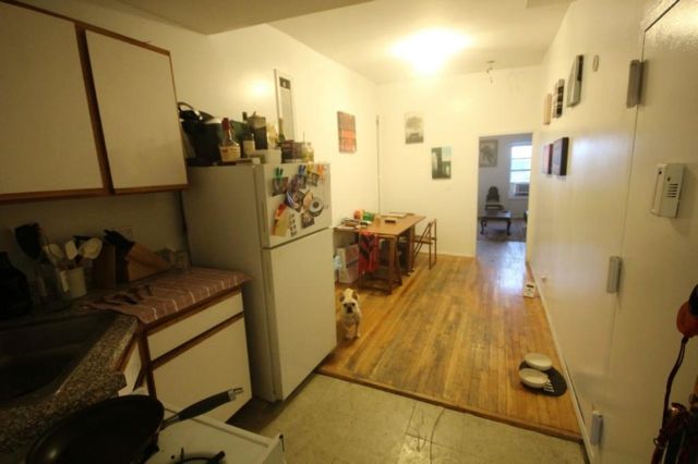 A kitchen plus a pooch. (Photo Courtesy of Realty LAB)