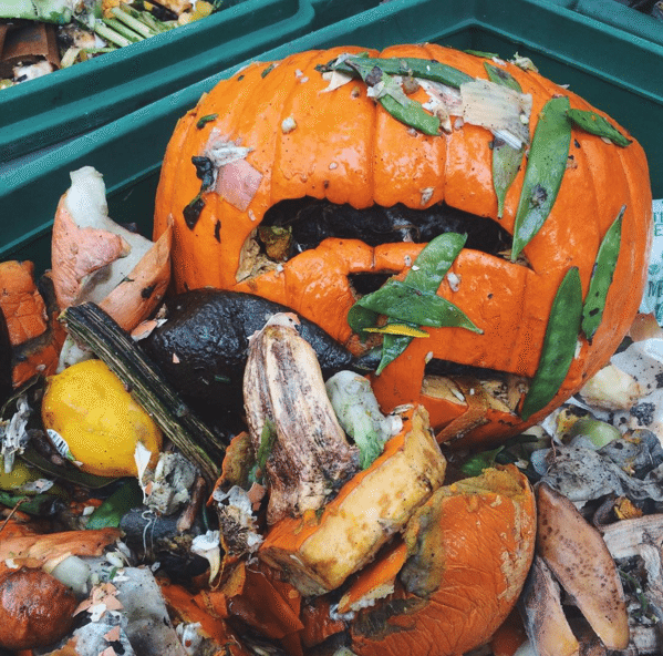 Photo Finish: Even Halloween Pumpkins Are Exhausted After The After-Party
